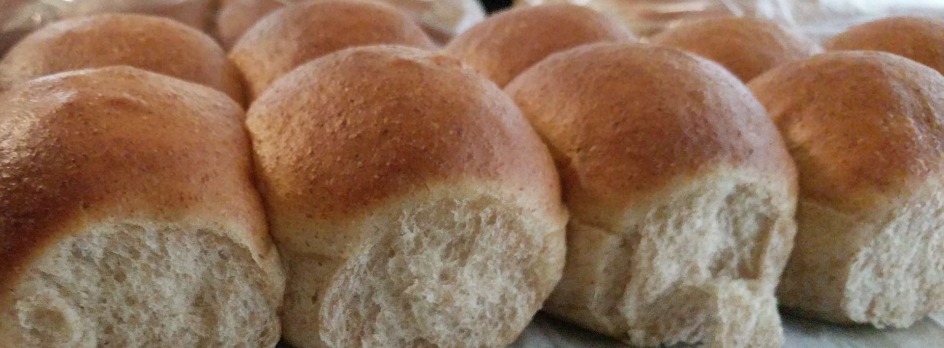 Dinner Rolls banner