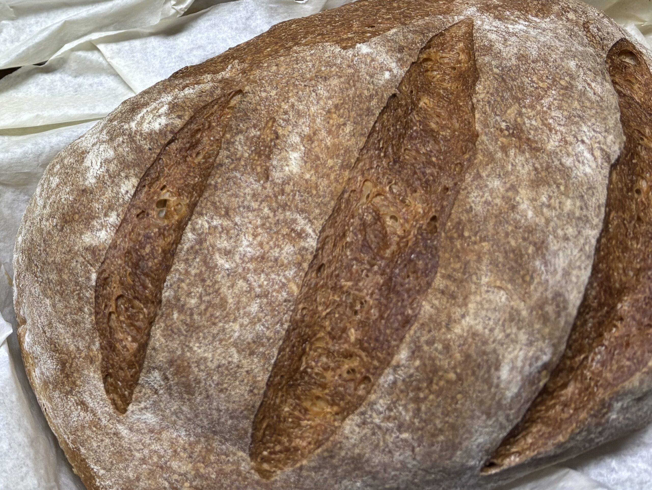 Sourdough pan loaf