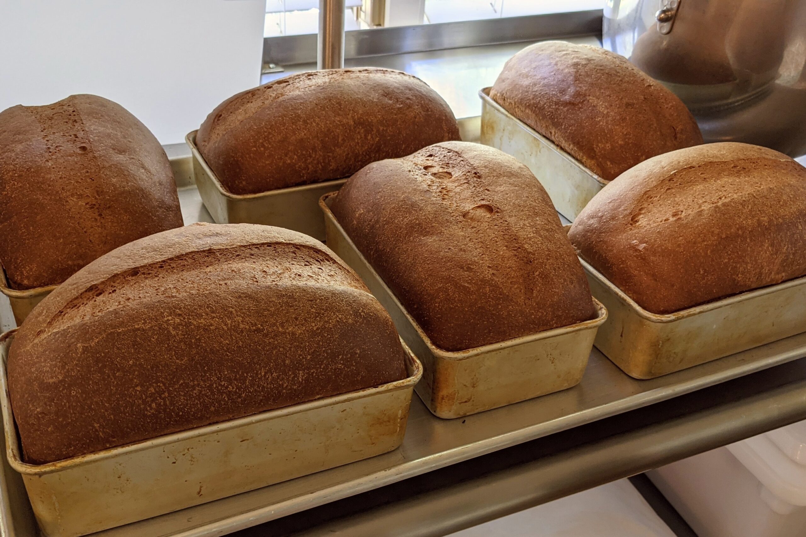 Whole Wheat Sliced Sandwich Bread - Image 4