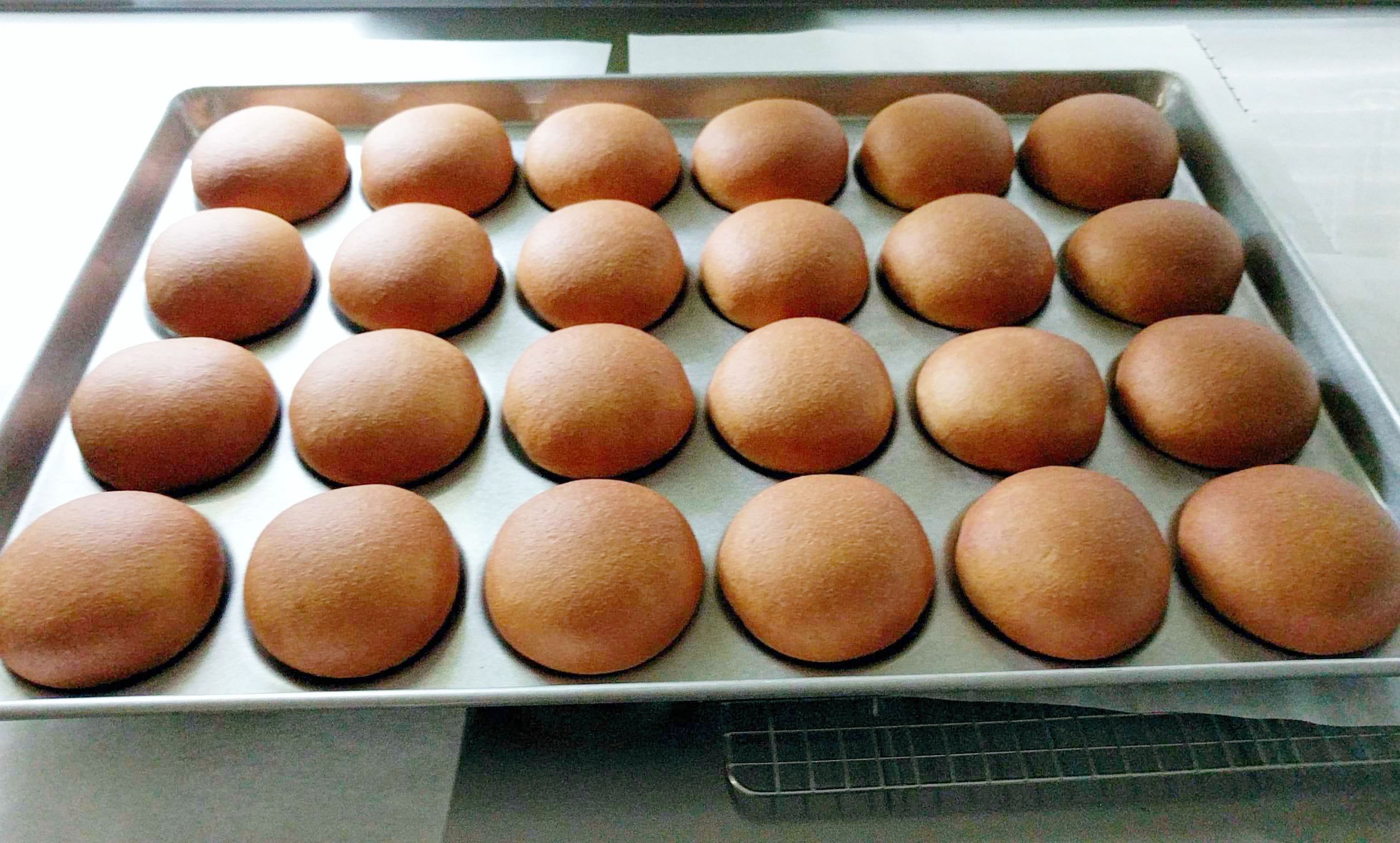 Burger Buns