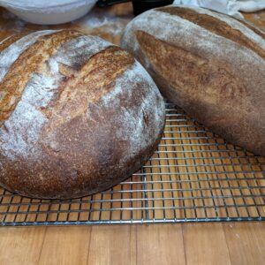 Sourdough Bread